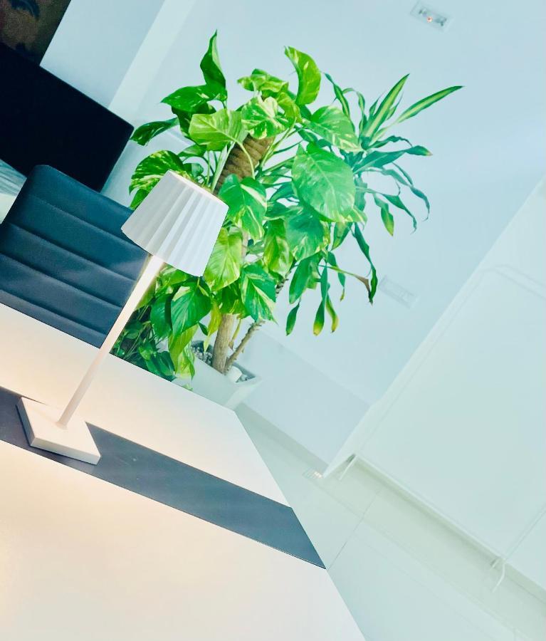 Vila Loft Terracina Exteriér fotografie